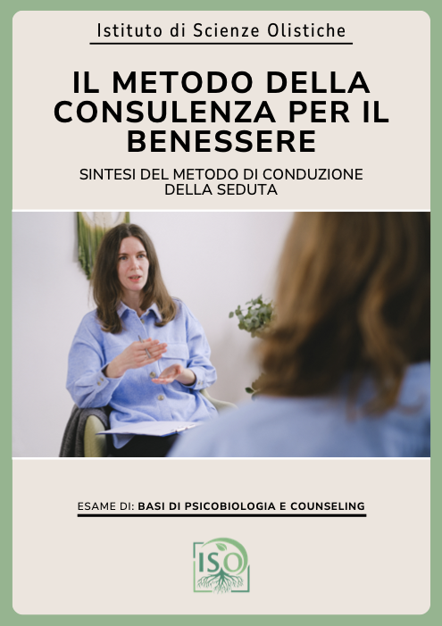 Metodo consulenza sintesi CES