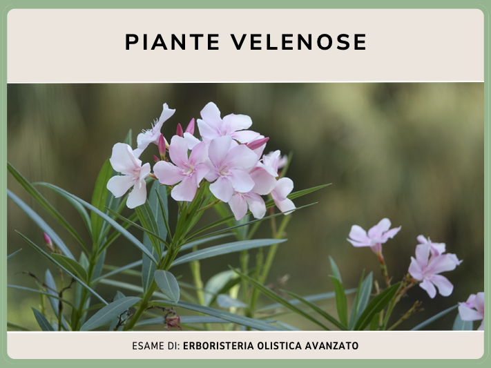 Piante velenose
