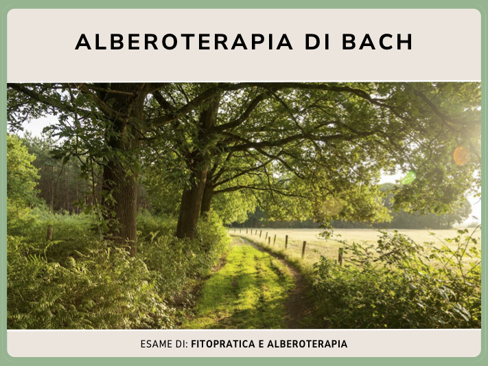 Alberoterapia di Bach