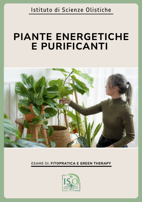 Piante energetiche e purificanti