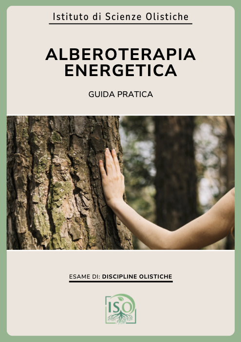 Alberoterapia energetica Guida pratica