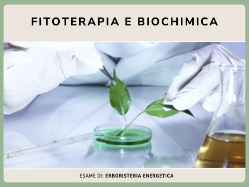 Fitoterapia e biochimica