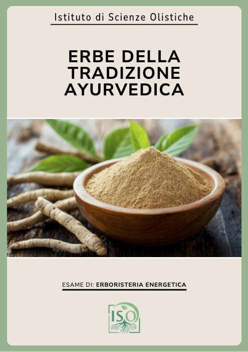 Erbe della tradizione ayurvedica