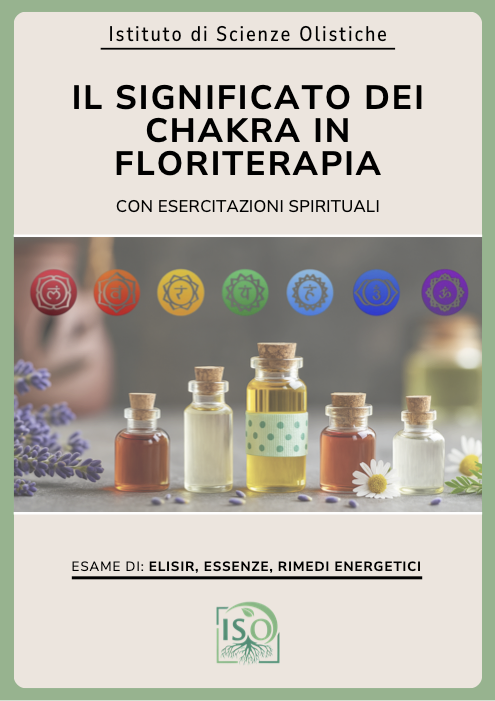Il significato dei chakra in floriterapia