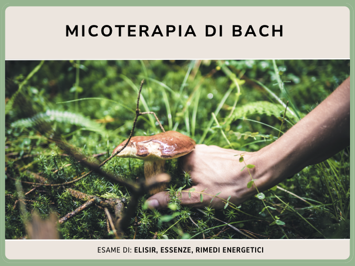Micoterapia del dr. Bach