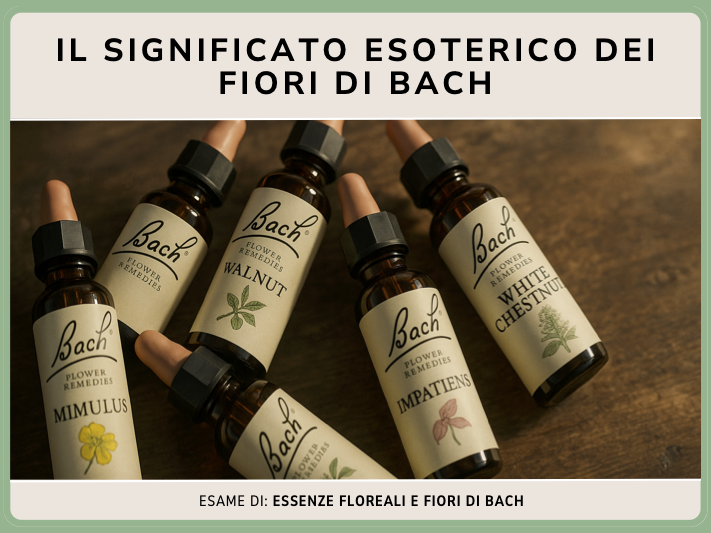 Il significato esoterico dei fiori di Bach