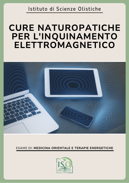 Cure naturopatiche per l'inquinamento elettromagnetico