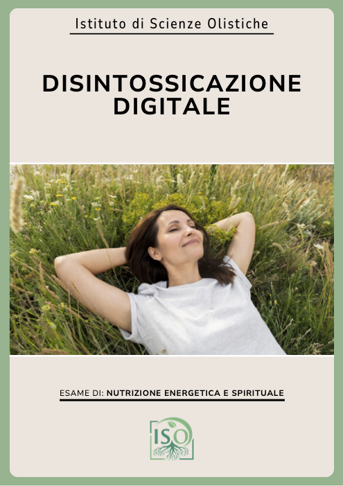 Disintossicazione digitale