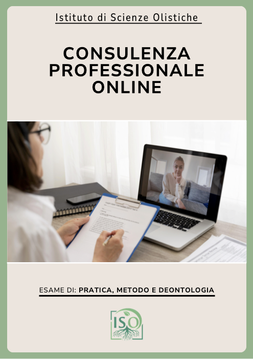 Consulenza professionale on line