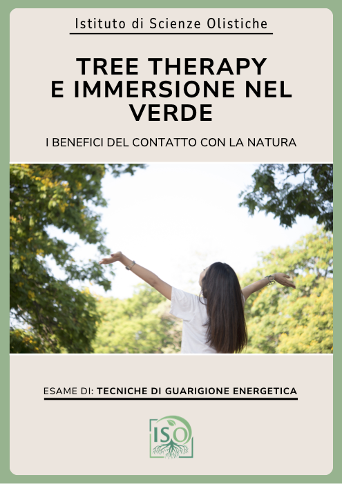 Tree therapy e immersione nel verde