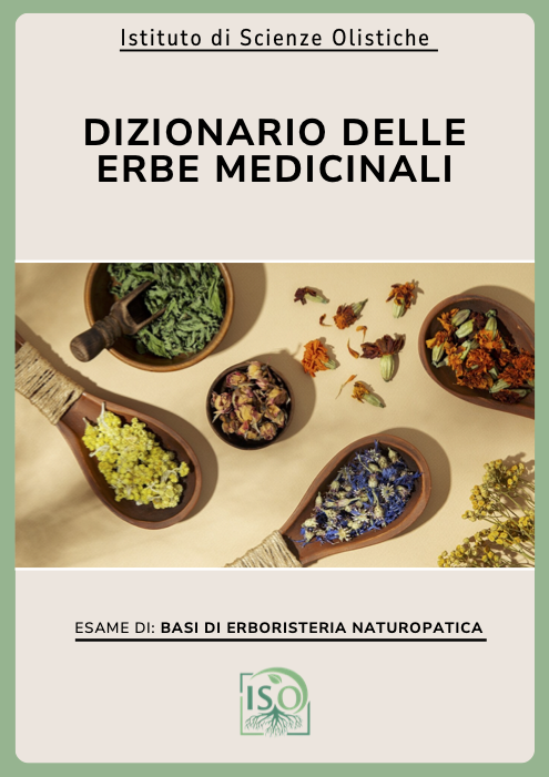 Dizionario delle erbe medicinali