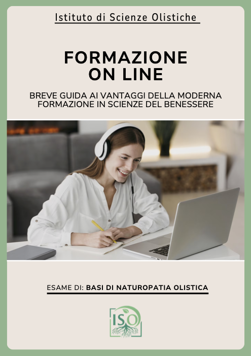 Formazione on line