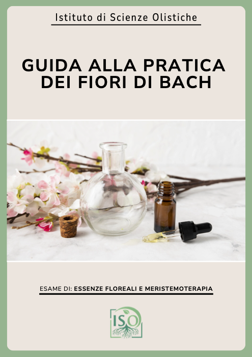 Guida alla pratica dei fiori di Bach