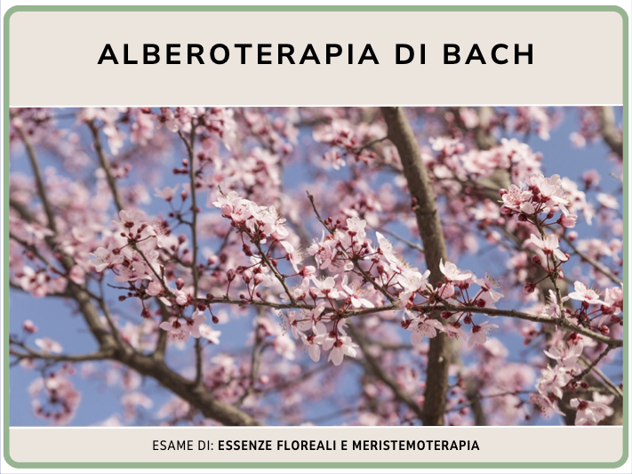 Alberoterapia di Bach