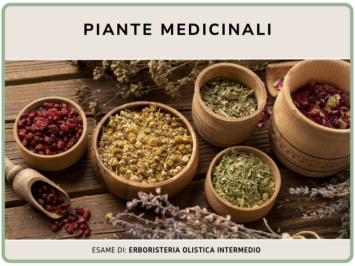 Piante medicinali