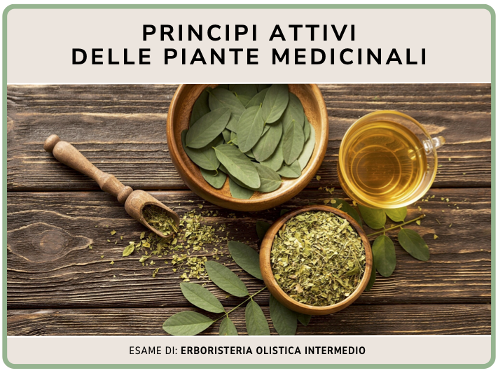Principi attivi delle piante medicinali