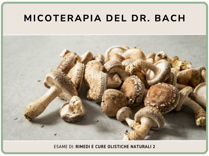 Micoterapia del dr. Bach