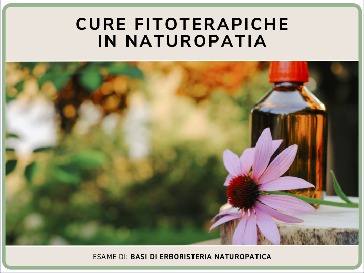 cure fitoterapiche