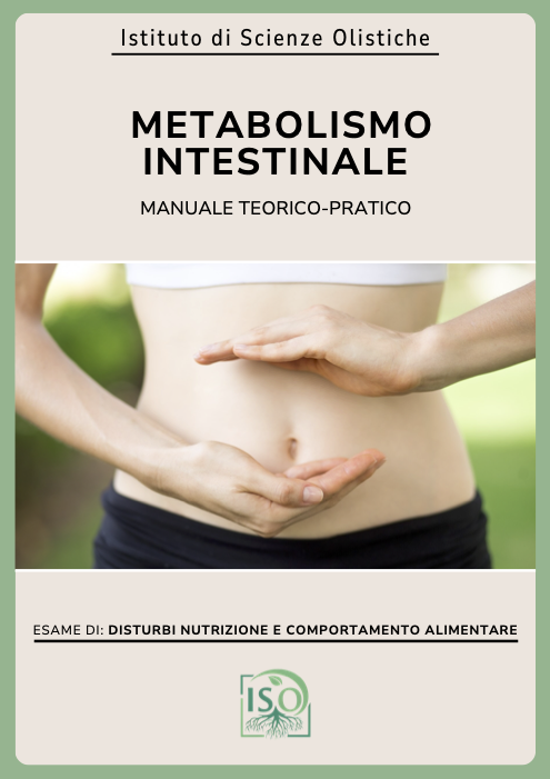 Metabolismo intestinale