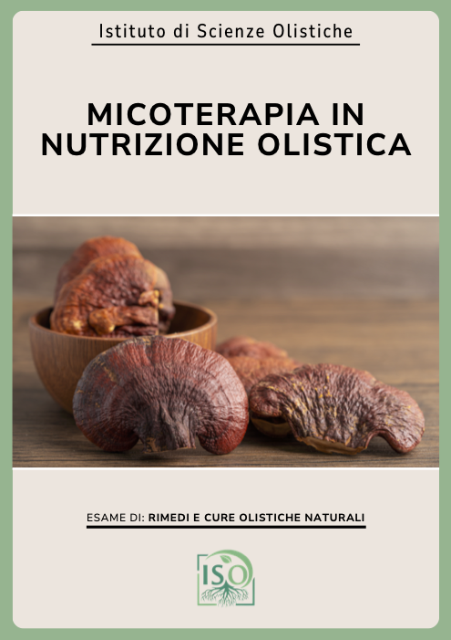 Micoterapia in nutrizione olistica