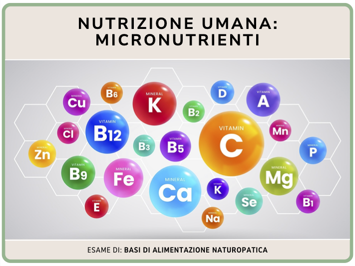 Nutrizione umana micronutrienti