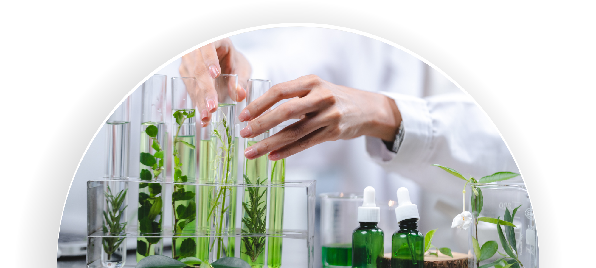 Scuola online di Naturopatia Scientifica 