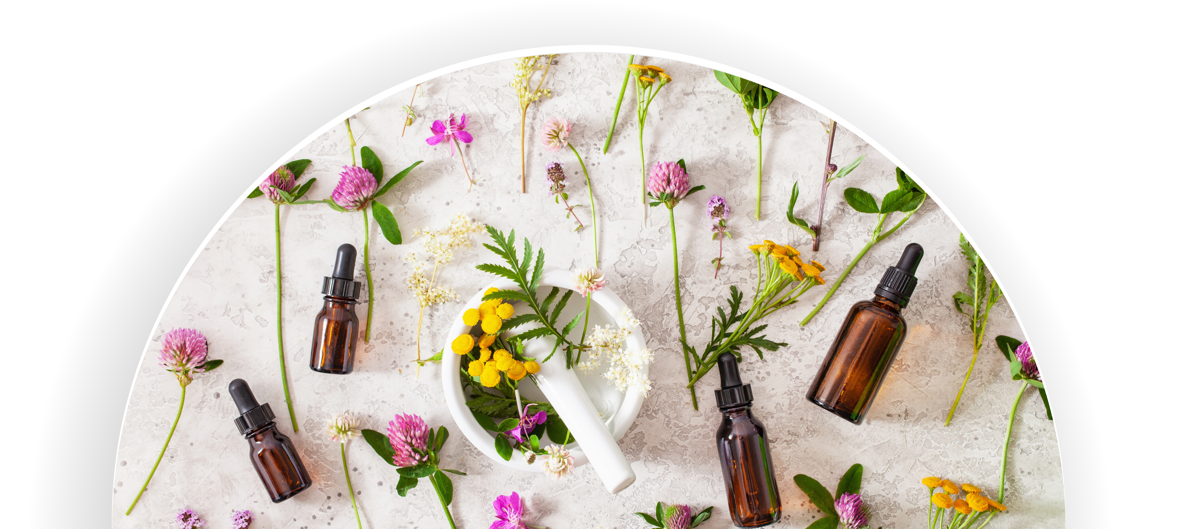 Scuola online di Fitopratica erboristeria naturopatica