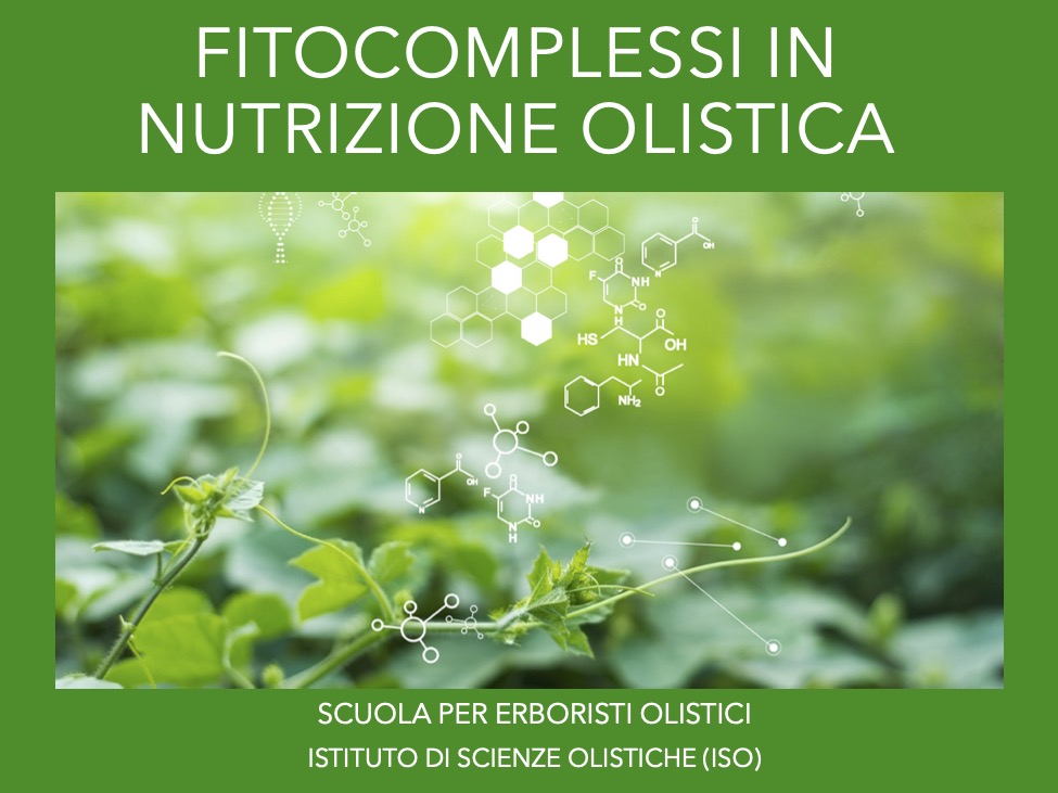Fitocomplessi in erboristeria olistica