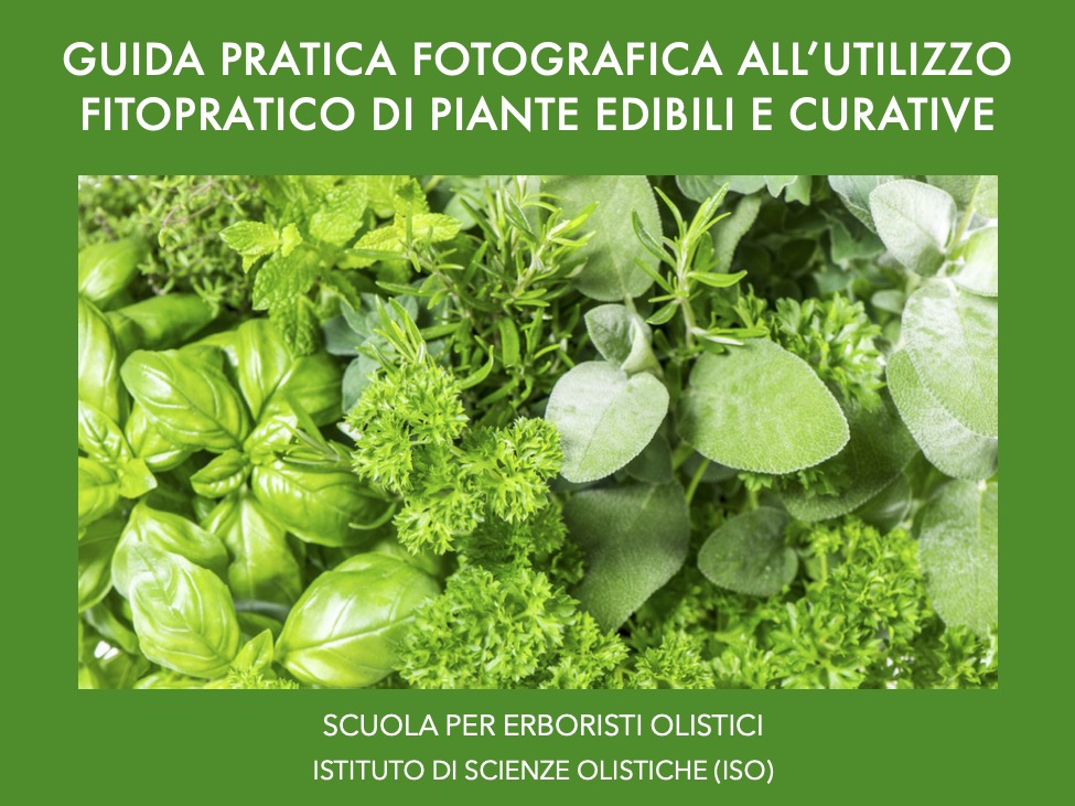 Guida fotografica all’utilizzo fitopratico di piante edibili e curative