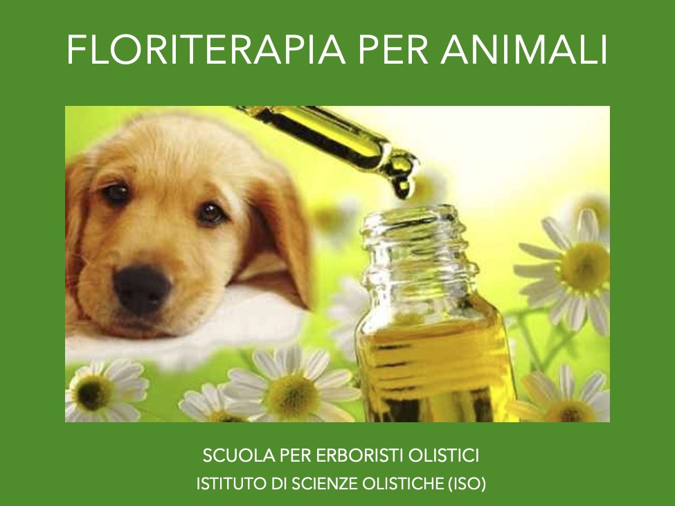 Floriterapia per animali