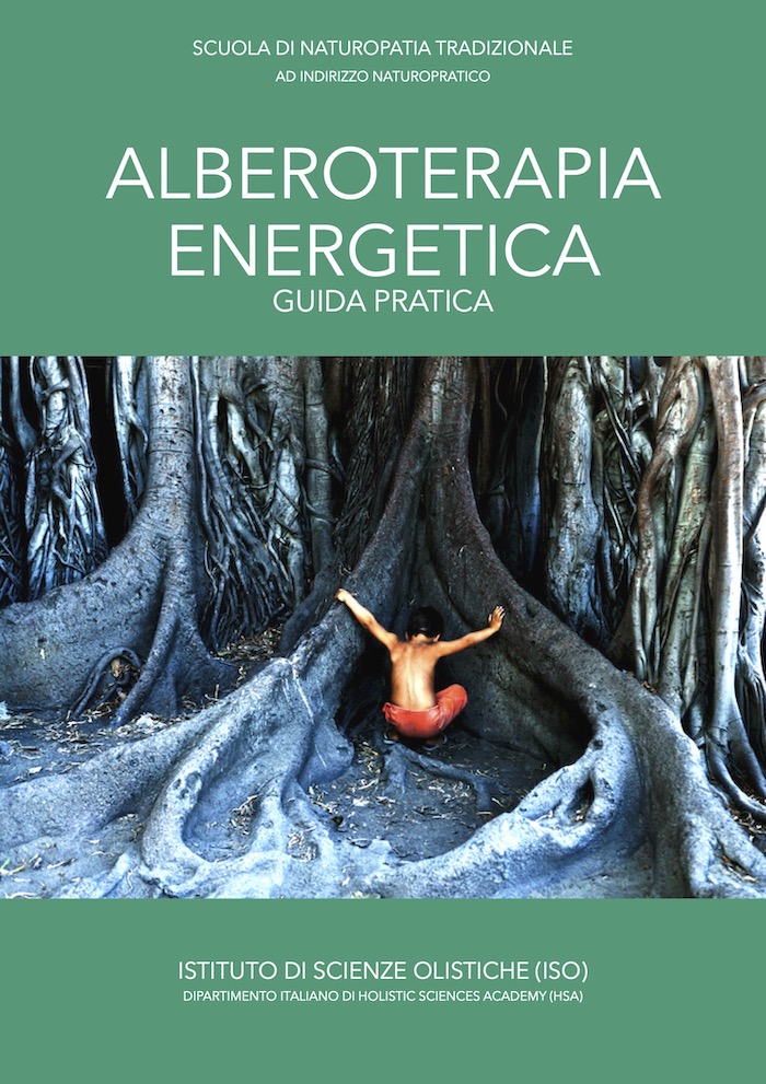 Alberoterapia energetica Guida pratica