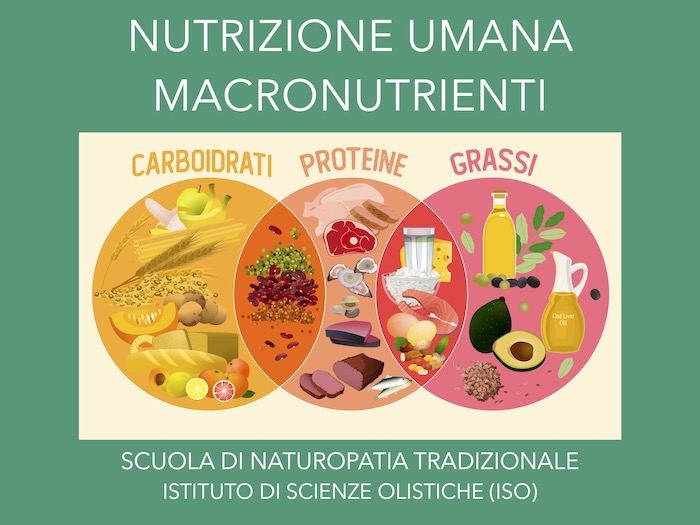 Nutrizione umana 1 - Macronutrienti