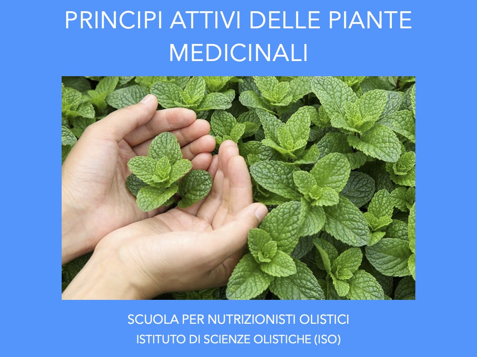 Principi attivi delle piante medicinali