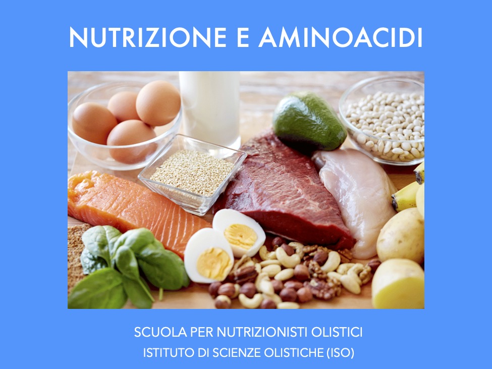 Nutrizione e aminoacidi