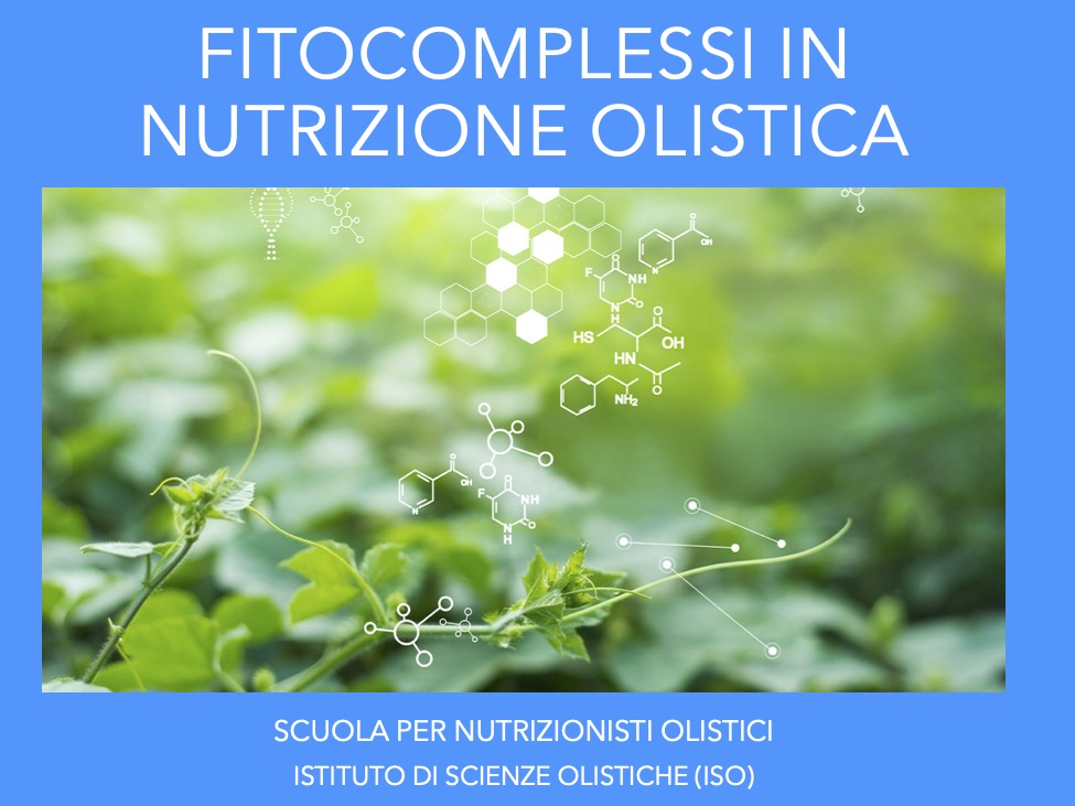 Fitocomplessi in nutrizione olistica