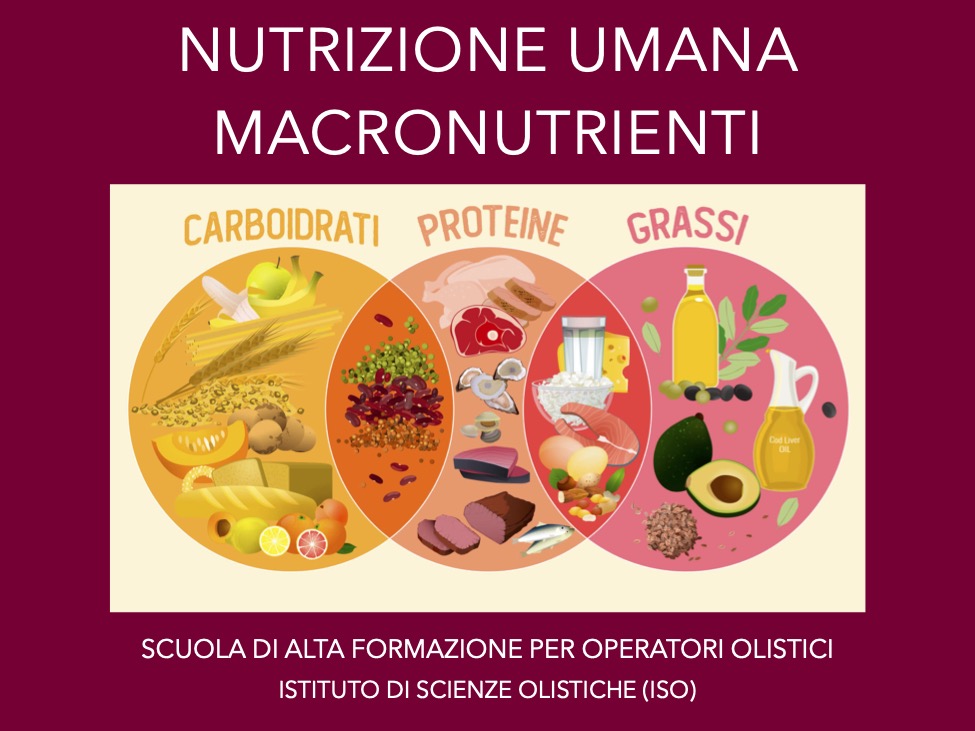 Nutrizione umana 1 - Macronutrienti