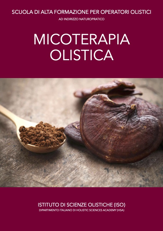 Micoterapia olistica